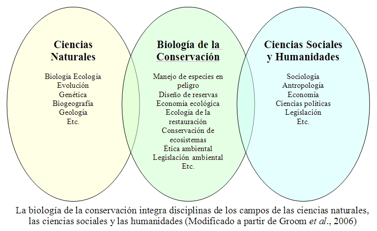 Relaciones de la biología de la conservación con otras disciplinas.jpg